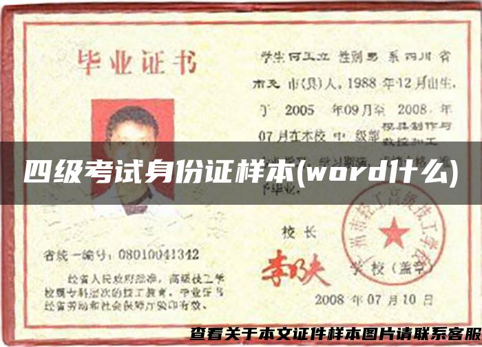 四级考试身份证样本(word什么)