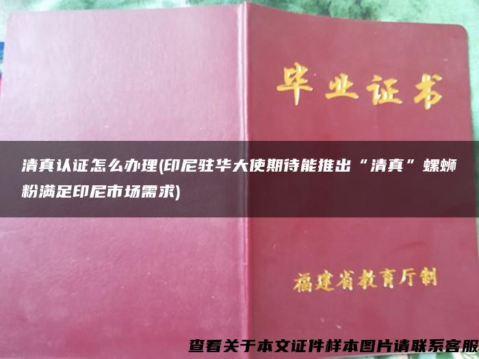 清真认证怎么办理(印尼驻华大使期待能推出“清真”螺蛳粉满足印尼市场需求)