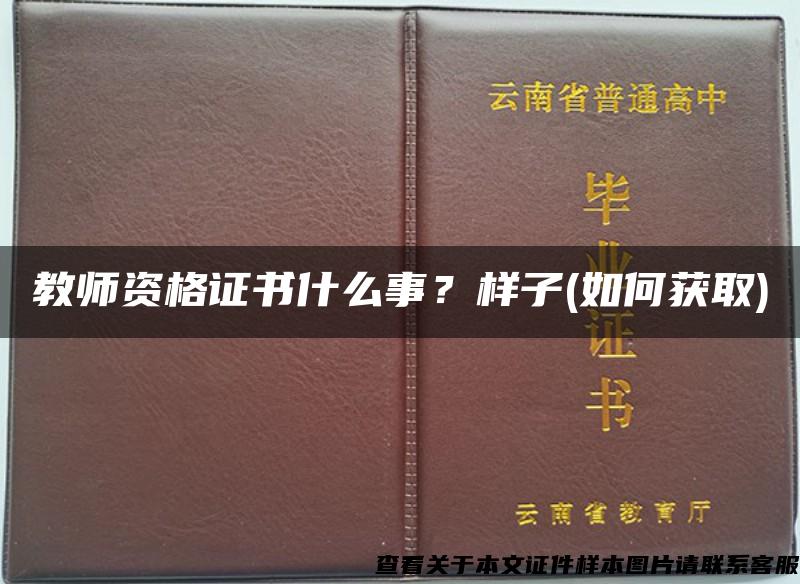 教师资格证书什么事？样子(如何获取)