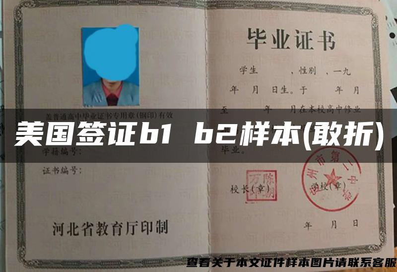 美国签证b1 b2样本(敢折)