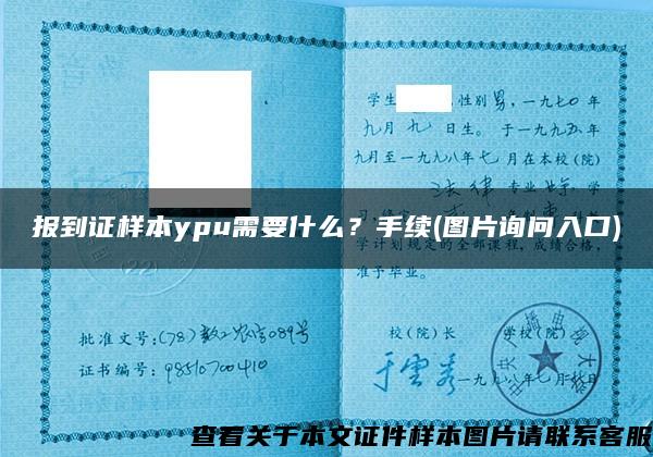 报到证样本ypu需要什么？手续(图片询问入口)