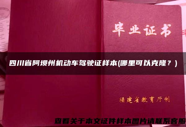 四川省阿坝州机动车驾驶证样本(哪里可以克隆？)