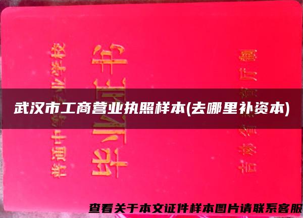 武汉市工商营业执照样本(去哪里补资本)