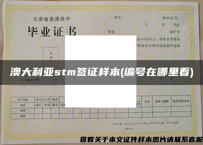 澳大利亚stm签证样本(编号在哪里看)