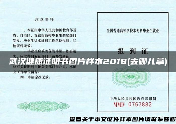 武汉健康证明书图片样本2018(去哪儿拿)