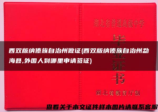 西双版纳傣族自治州做证(西双版纳傣族自治州勐海县,外国人到哪里申请签证)