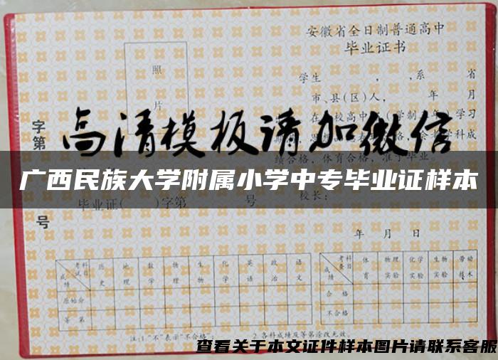 广西民族大学附属小学中专毕业证样本