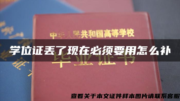 学位证丢了现在必须要用怎么补