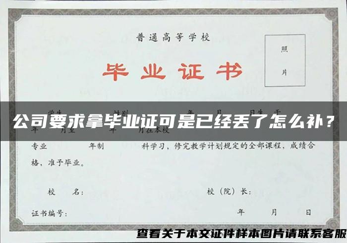 公司要求拿毕业证可是已经丢了怎么补？