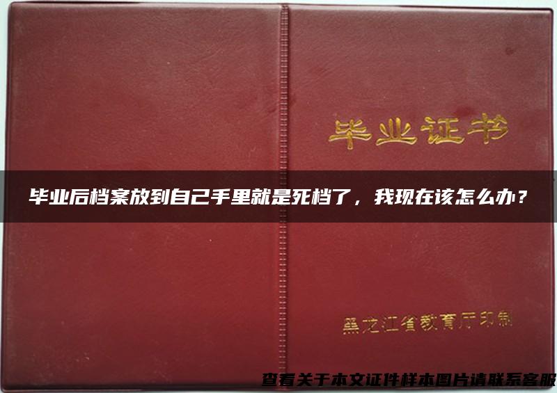 毕业后档案放到自己手里就是死档了，我现在该怎么办？