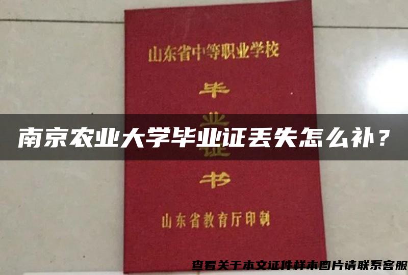 南京农业大学毕业证丢失怎么补？