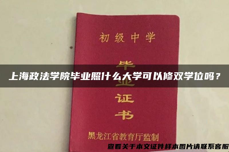 上海政法学院毕业照什么大学可以修双学位吗？