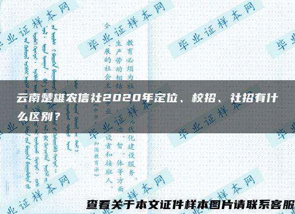 云南楚雄农信社2020年定位、校招、社招有什么区别？