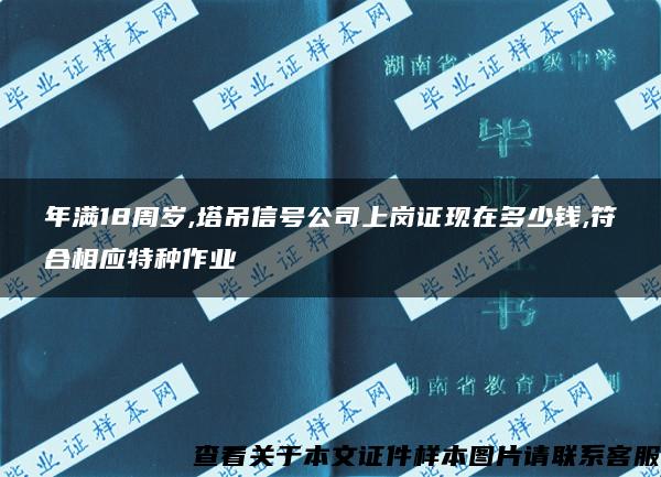 年满18周岁,塔吊信号公司上岗证现在多少钱,符合相应特种作业