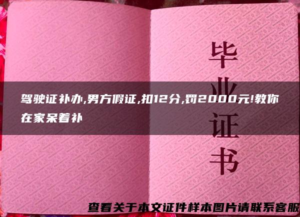 驾驶证补办,男方假证,扣12分,罚2000元!教你在家呆着补