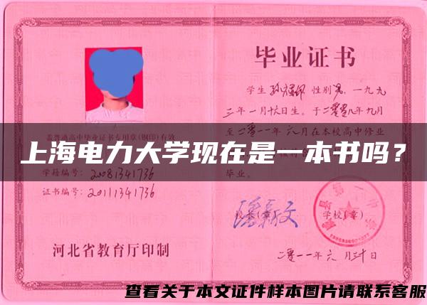 上海电力大学现在是一本书吗？