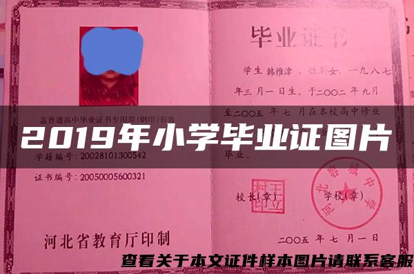 2019年小学毕业证图片