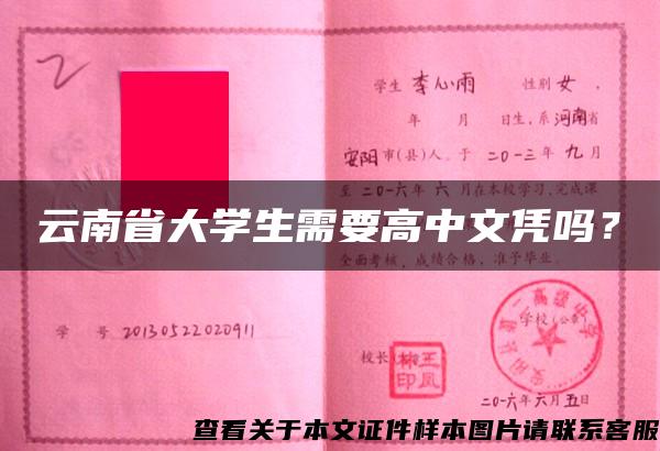 云南省大学生需要高中文凭吗？