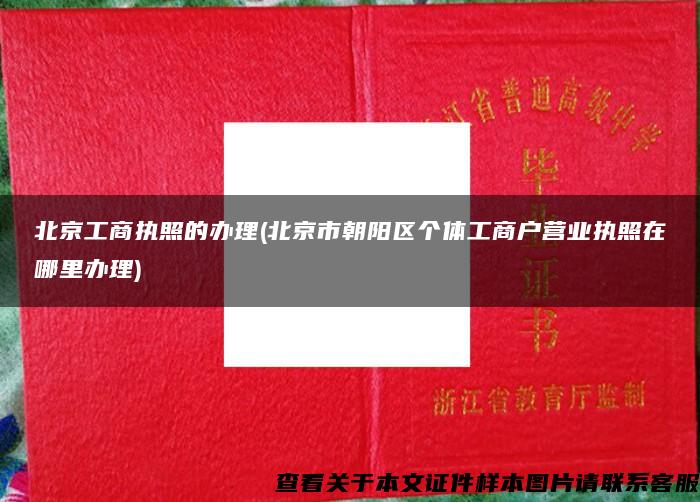 北京工商执照的办理(北京市朝阳区个体工商户营业执照在哪里办理)