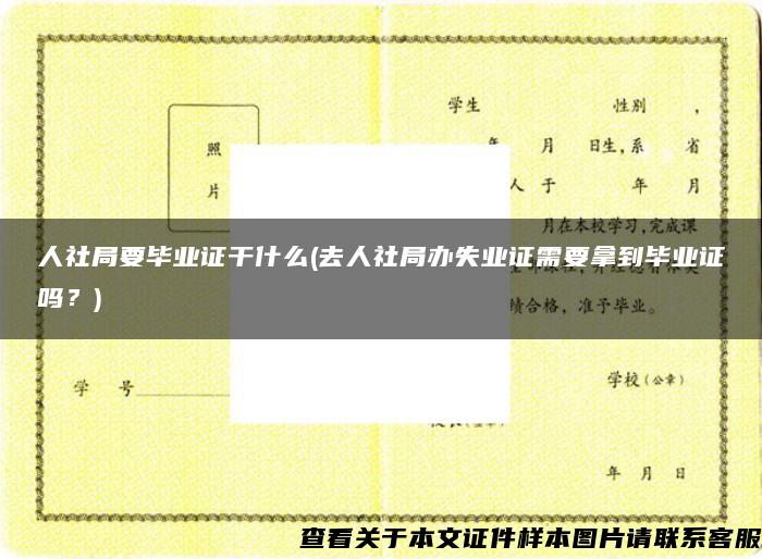 人社局要毕业证干什么(去人社局办失业证需要拿到毕业证吗？)