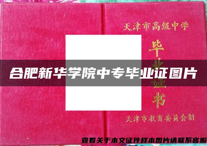 合肥新华学院中专毕业证图片