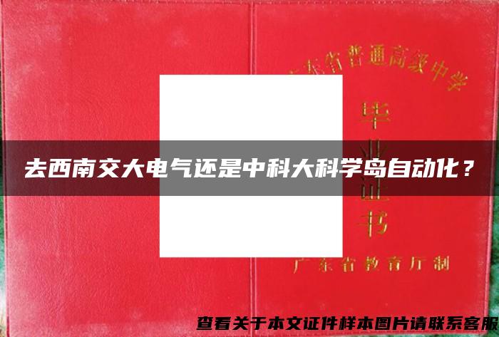 去西南交大电气还是中科大科学岛自动化？