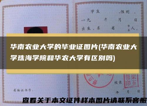 华南农业大学的毕业证图片(华南农业大学珠海学院和华农大学有区别吗)