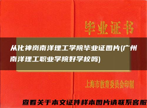 从化神岗南洋理工学院毕业证图片(广州南洋理工职业学院好学校吗)