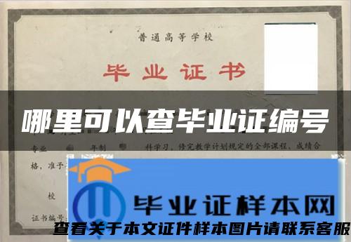 哪里可以查毕业证编号