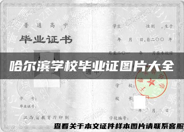 哈尔滨学校毕业证图片大全