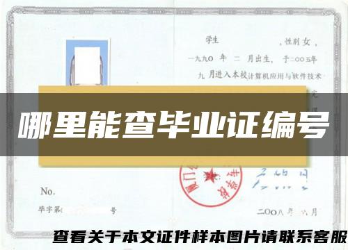 哪里能查毕业证编号