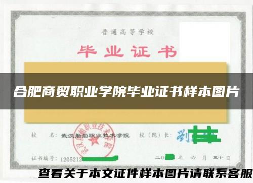 合肥商贸职业学院毕业证书样本图片