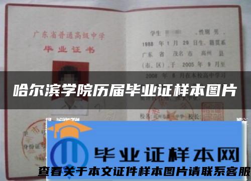 哈尔滨学院历届毕业证样本图片