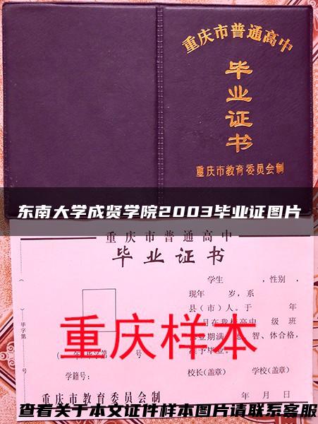 东南大学成贤学院2003毕业证图片