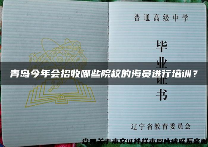 青岛今年会招收哪些院校的海员进行培训？