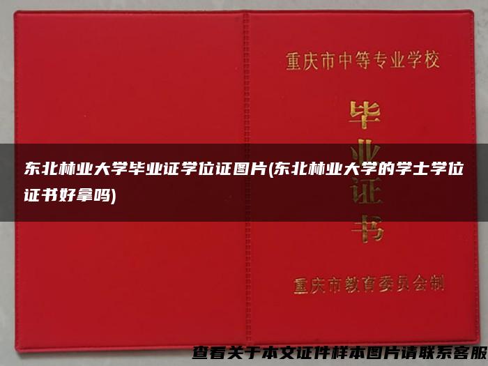 东北林业大学毕业证学位证图片(东北林业大学的学士学位证书好拿吗)