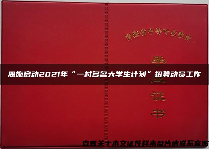 恩施启动2021年“一村多名大学生计划”招募动员工作