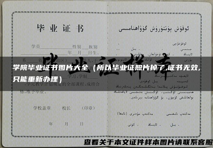 学院毕业证书图片大全（所以毕业证照片掉了,证书无效,只能重新办理）