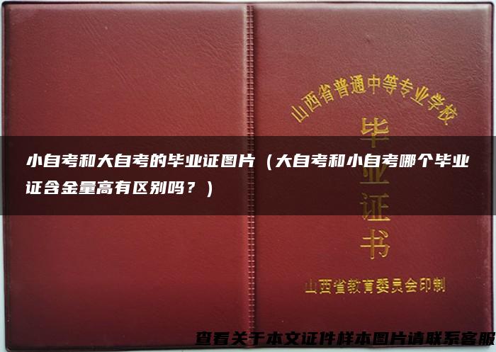 小自考和大自考的毕业证图片（大自考和小自考哪个毕业证含金量高有区别吗？）