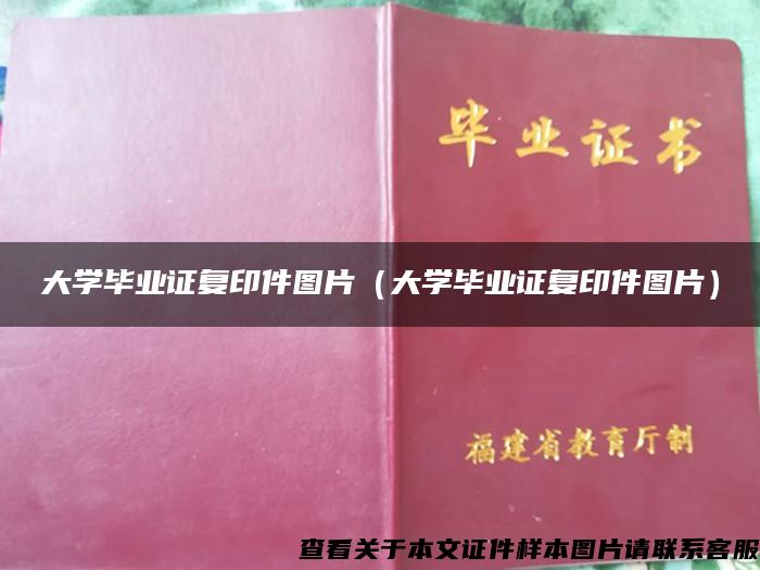 大学毕业证复印件图片（大学毕业证复印件图片）