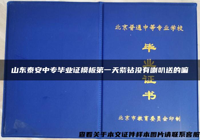 山东泰安中专毕业证模板第一天紫钻没有喇叭送的嘛