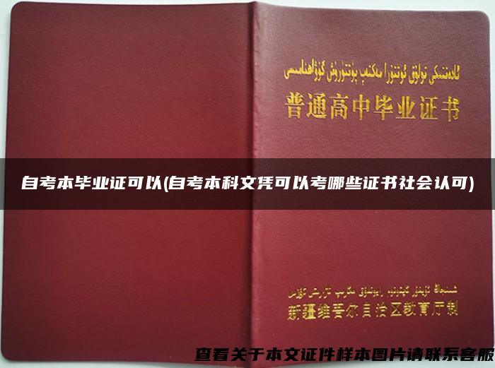 自考本毕业证可以(自考本科文凭可以考哪些证书社会认可)