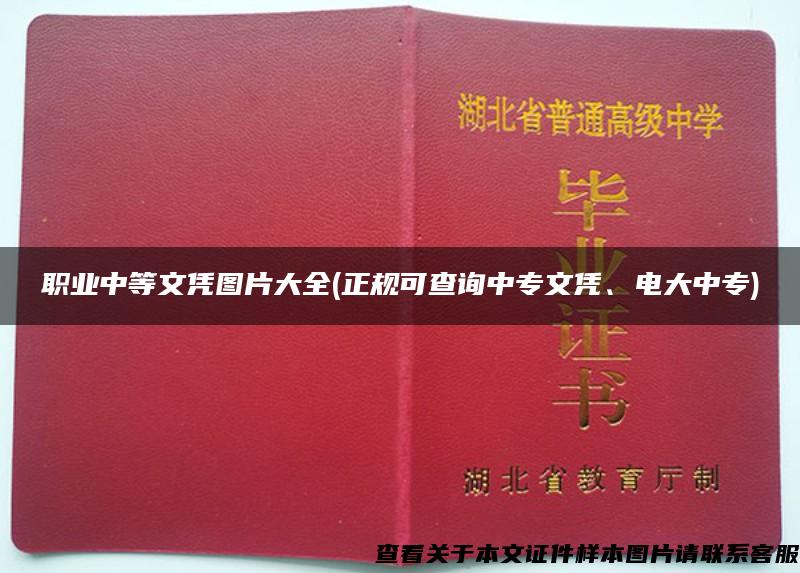 职业中等文凭图片大全(正规可查询中专文凭、电大中专)