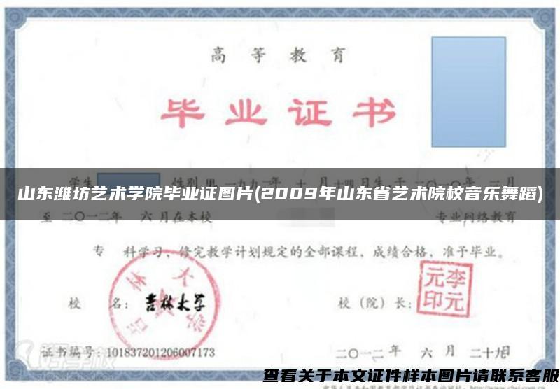 山东潍坊艺术学院毕业证图片(2009年山东省艺术院校音乐舞蹈)