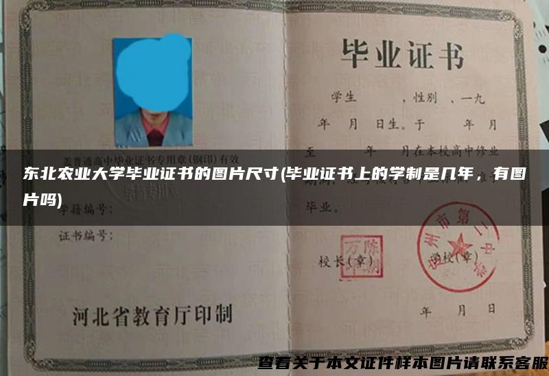 东北农业大学毕业证书的图片尺寸(毕业证书上的学制是几年，有图片吗)