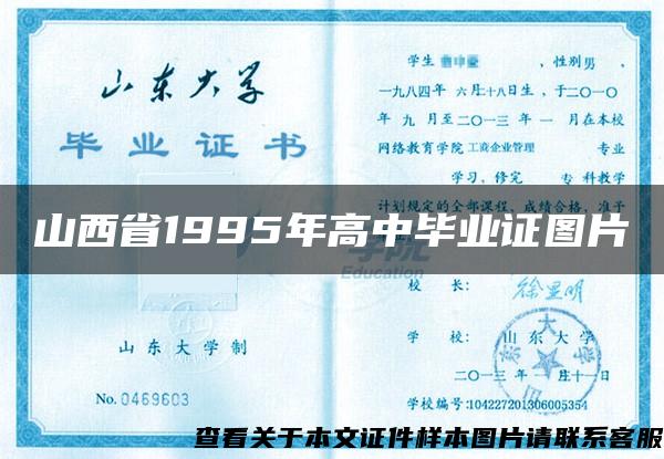 山西省1995年高中毕业证图片