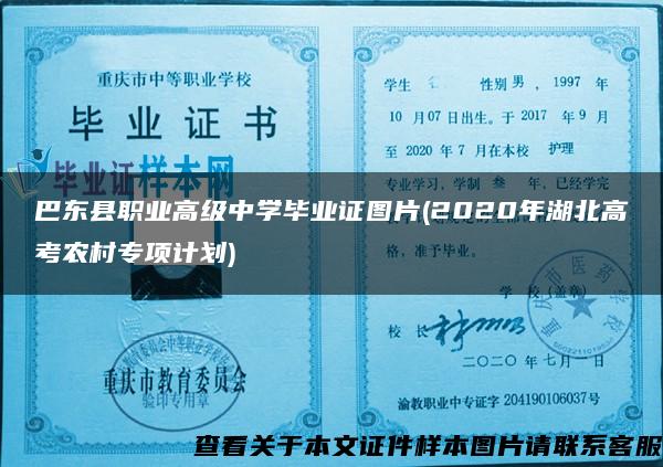 巴东县职业高级中学毕业证图片(2020年湖北高考农村专项计划)