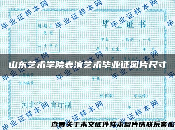 山东艺术学院表演艺术毕业证图片尺寸