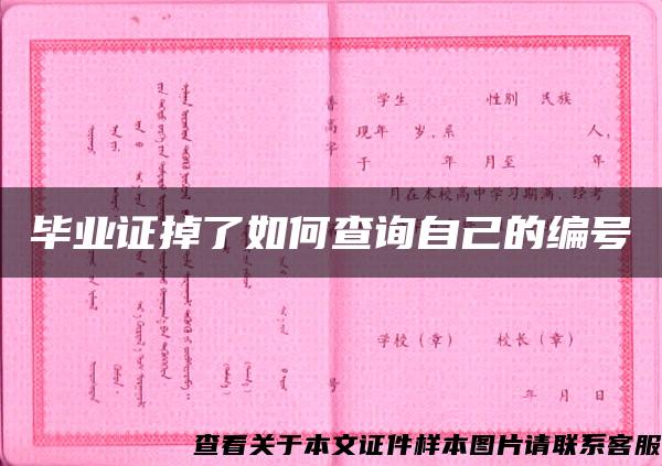 毕业证掉了如何查询自己的编号