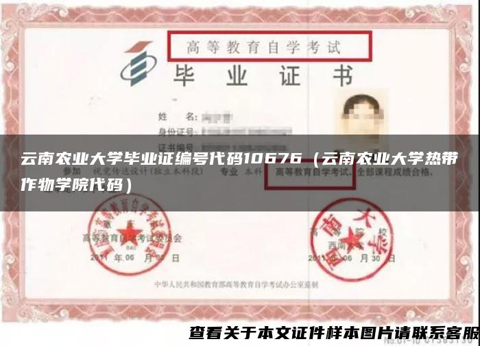 云南农业大学毕业证编号代码10676（云南农业大学热带作物学院代码）